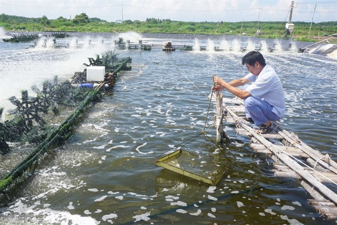 Thủy sản